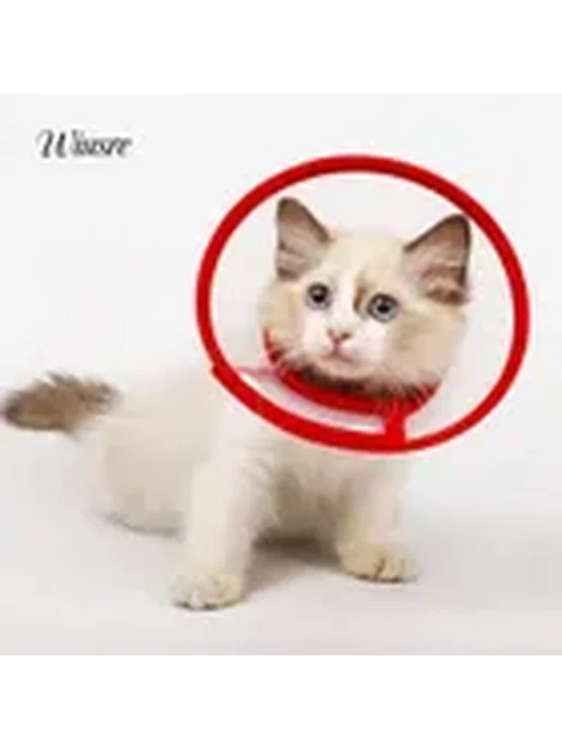 Кошачий конусный воротник L, вариант