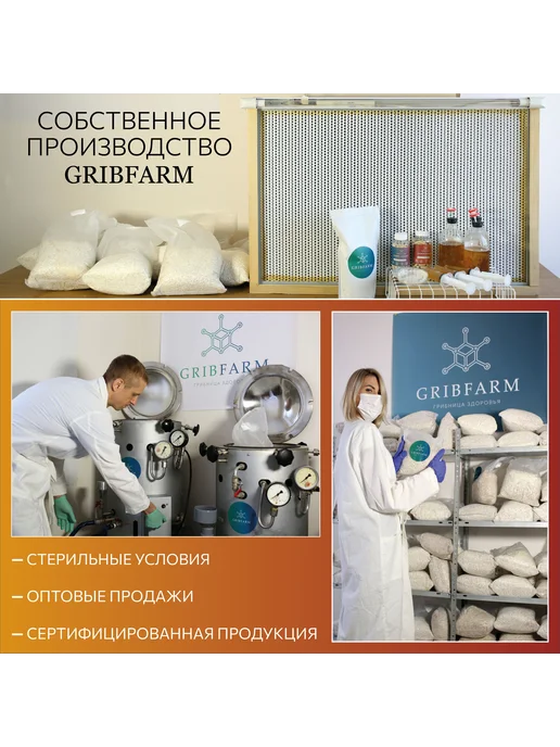 GribFarm Грибы сушеные Рейши 50г. 1шт., 100 г, 1 шт, фото 3