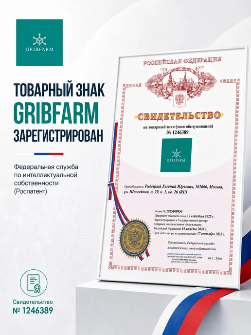 GribFarm Грибы сушеные Рейши 50г. 1шт., 100 г, 1 шт, фото 5