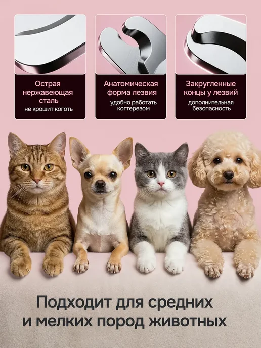 Когтерезка для кошек и собак ножницы, белый, фото 3