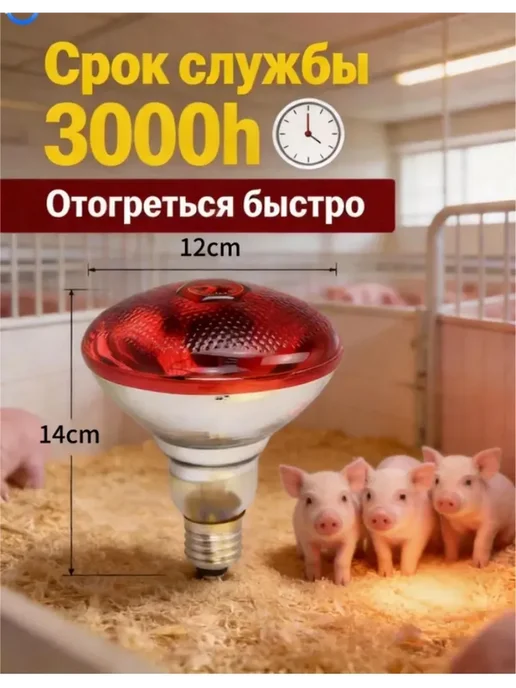 Обогреватель с лампой 250 Вт 2шт, 250 Вт, 2 шт, фото 2