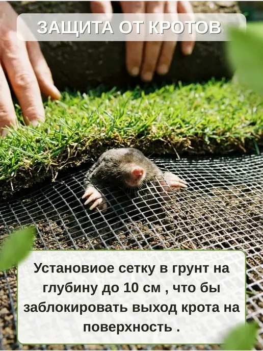 Сетка от кротов 2х10м 15х15мм, 2x10 м, фото 3