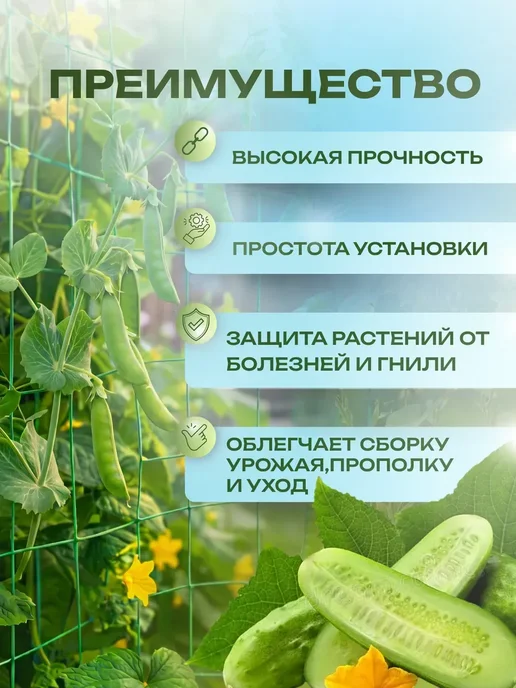 Сетка для гороха садовая 1х6м 10х10см, 1x6 м, фото 2