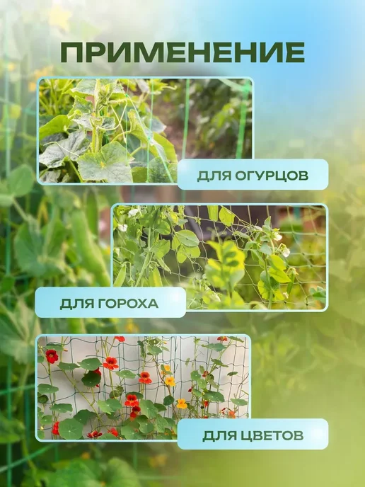 Сетка для гороха садовая 1х6м 10х10см, 1x6 м, фото 3