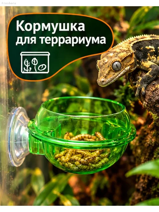 Кормушка для рептилий на присоске, 5,4 см, зеленый, фото 2