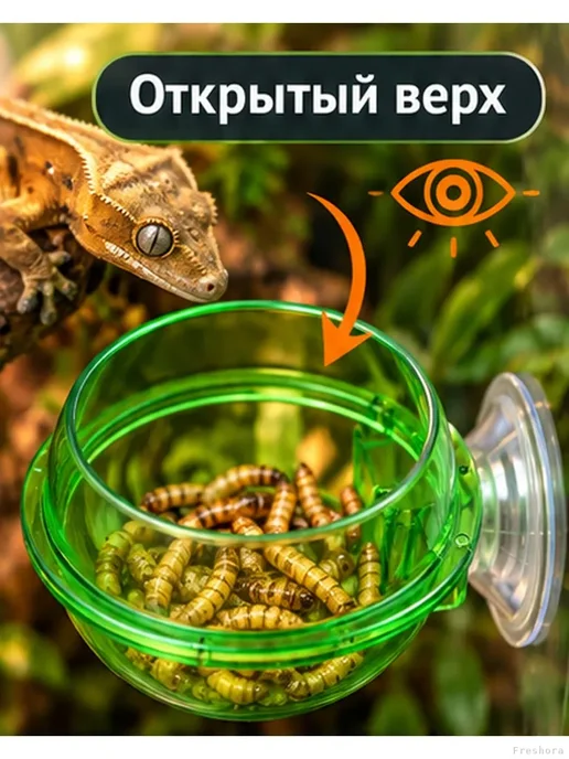 Кормушка для рептилий на присоске, 5,4 см, зеленый, фото 3