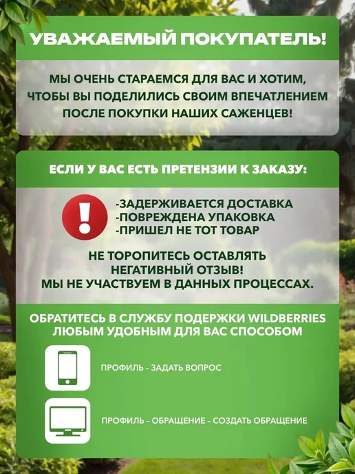 САД ПРОФИ Мускари луковицы Коллекционный Микс для посадки многолетние, 5 шт, фото 4