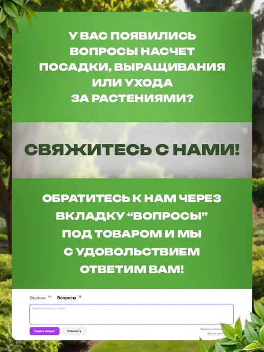 САД ПРОФИ Мускари луковицы Коллекционный Микс для посадки многолетние, 5 шт, фото 5