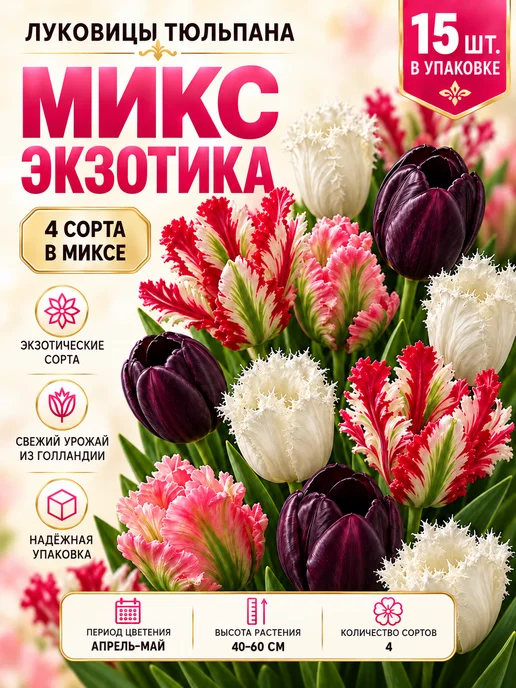 Луковицы Тюльпана Монте Карло 5 шт, 15 шт