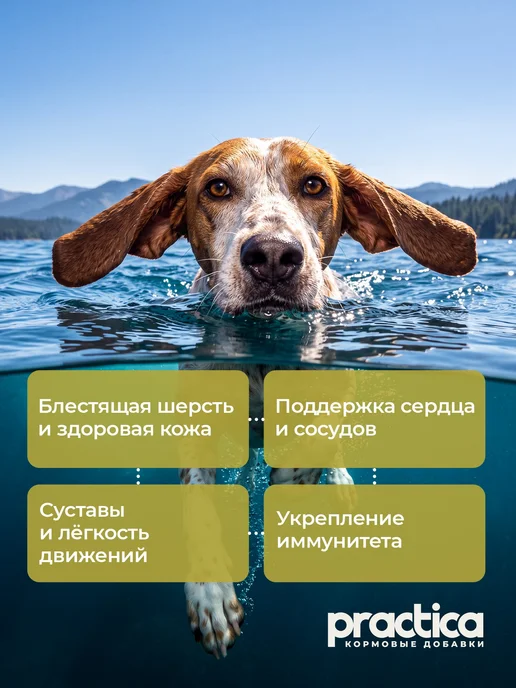 practica Лососевое масло Омега 3 для кошек и собак .250 мл, вариант, фото 5