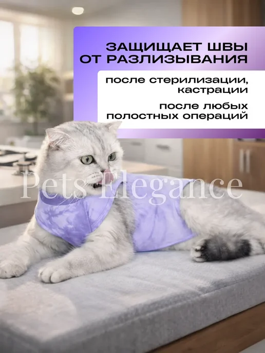 Попона для кошки послеоперационная на кнопках, фиолетовый, фото 3
