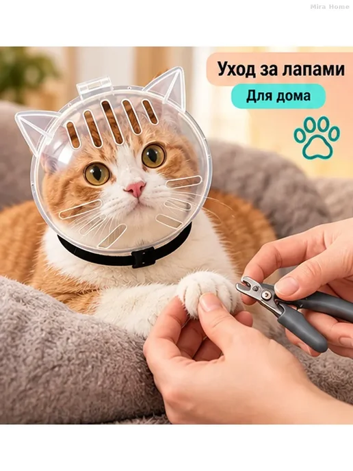 Прозрачная маска-намордник для кошек S, белый, фото 6