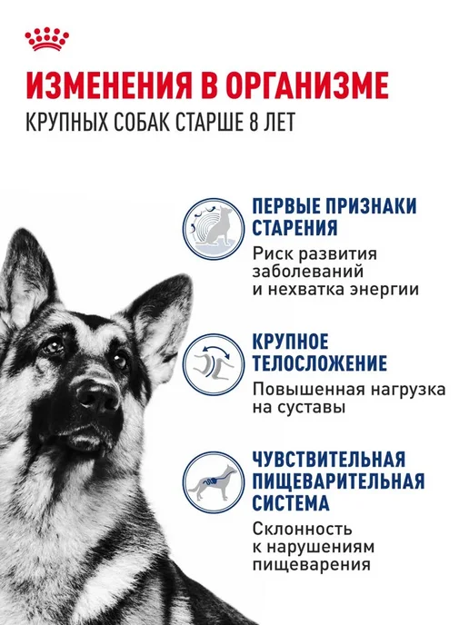 Сухой корм Royal canin Старше для собак, крупные, 15 кг, фото 2