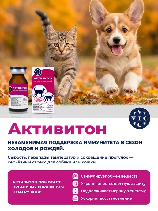 VIC Активитон, витаминный комплекс, 10мл, 10 мл, фото 2