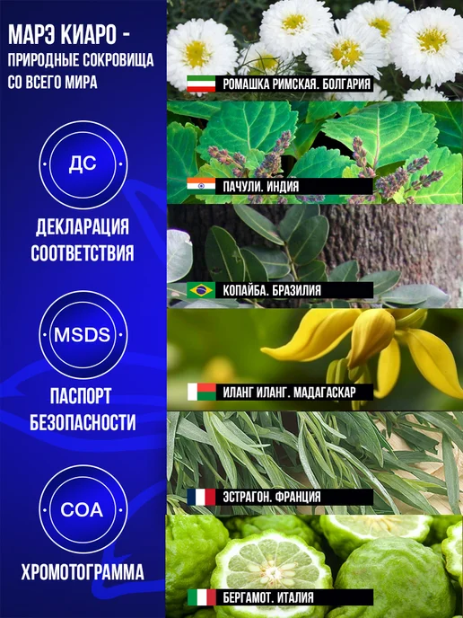 Эфирное масло сельдерея 100% натуральное для ароматерапии 5, вариант, фото 2
