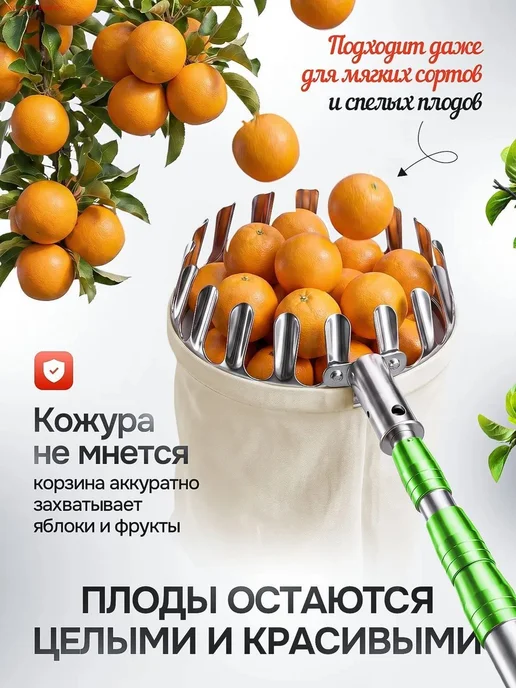 Плодосборник 17 см, вариант, фото 5