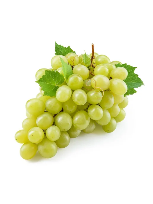 Желе из конжака 3 вкуса в одном наборе Персик, Виноград, вариант, фото 5