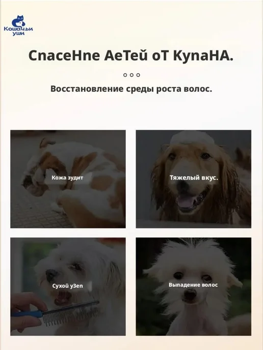 Шампунь для собак антибактериальный, вариант, фото 4
