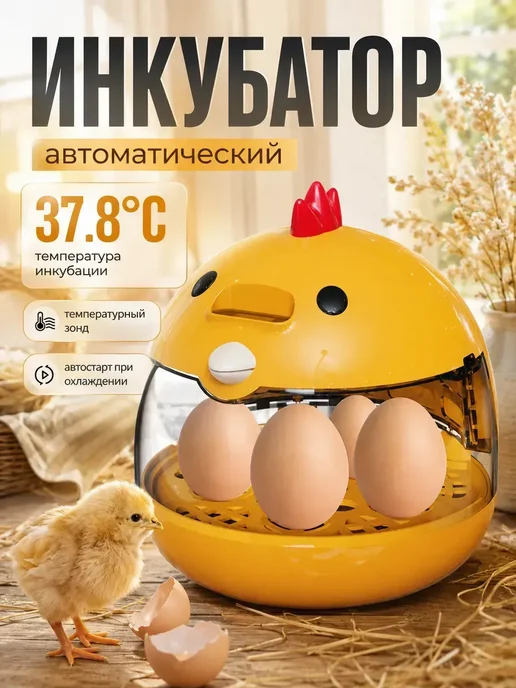 Инкубатор несушка автоматический, вариант