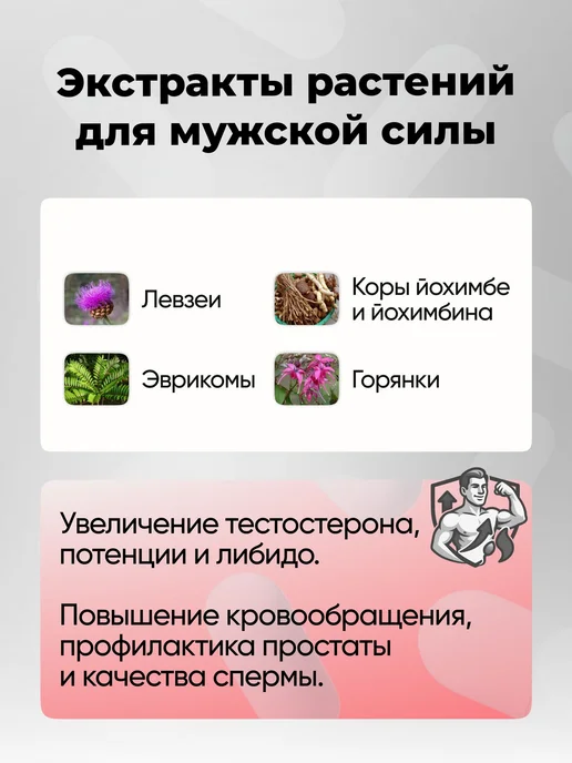 Натуральный тестобустер для мужчин с экдистероном, вариант, фото 4