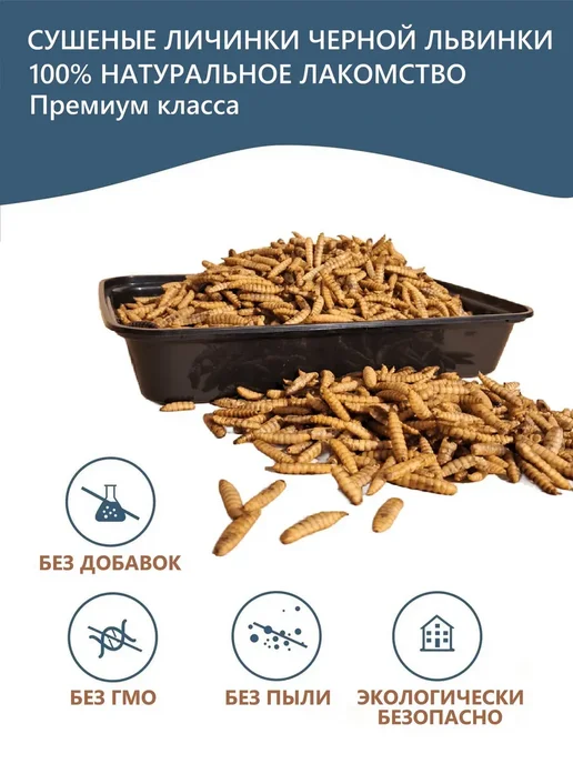 Черная львинка. Полезная. Сухие личинки, черный, фото 2
