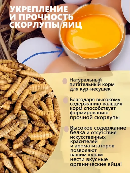 Черная львинка. Полезная. Сухие личинки, черный, фото 3