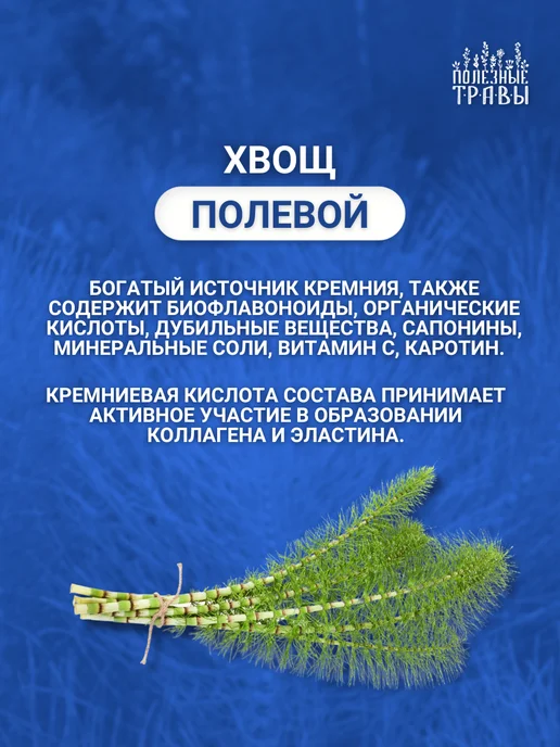 пчела и человек Хвощ полевой трава, 2 упаковки, вариант, фото 2
