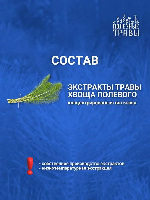 пчела и человек Хвощ полевой трава, 2 упаковки, вариант, фото 5