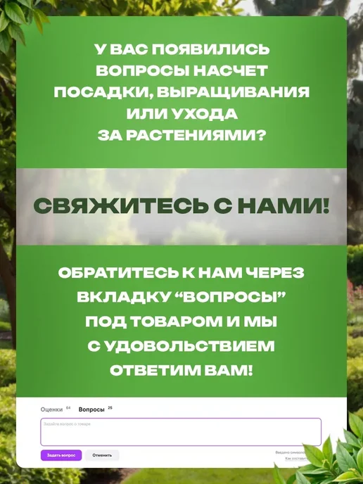 Чеснок на посадку под зиму Сибирский Гигант, вариант, фото 5