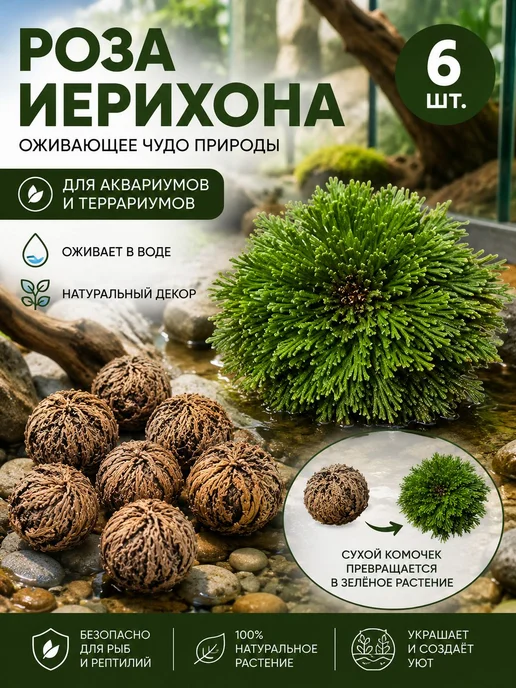 Украшение террариумаДля украшения, бежевый, фото 2