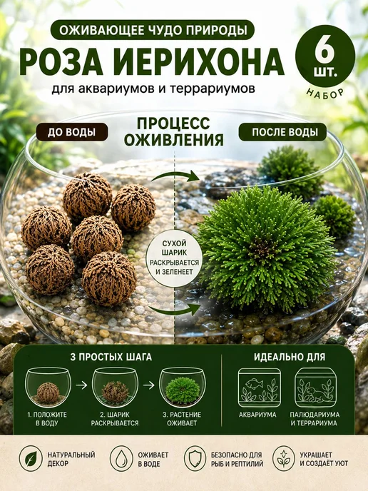 Украшение террариумаДля украшения, бежевый, фото 3