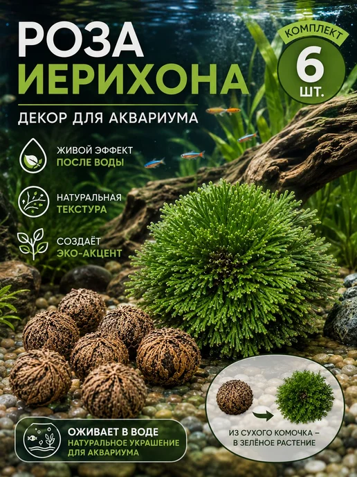 Украшение террариумаДля украшения, бежевый, фото 4