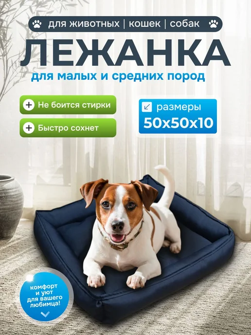 Лежанка для кошек и собак, 50×50 см, с бортиком, 50x50 см, фото 2